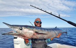 Wahoo Fishing Florida's Coast